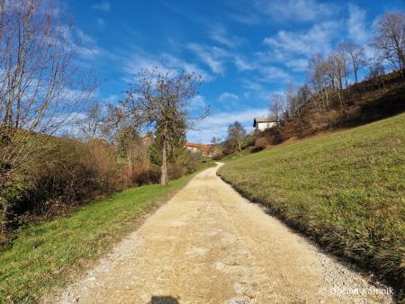 Vzdrževalna dela na gozdnih cestah (2)